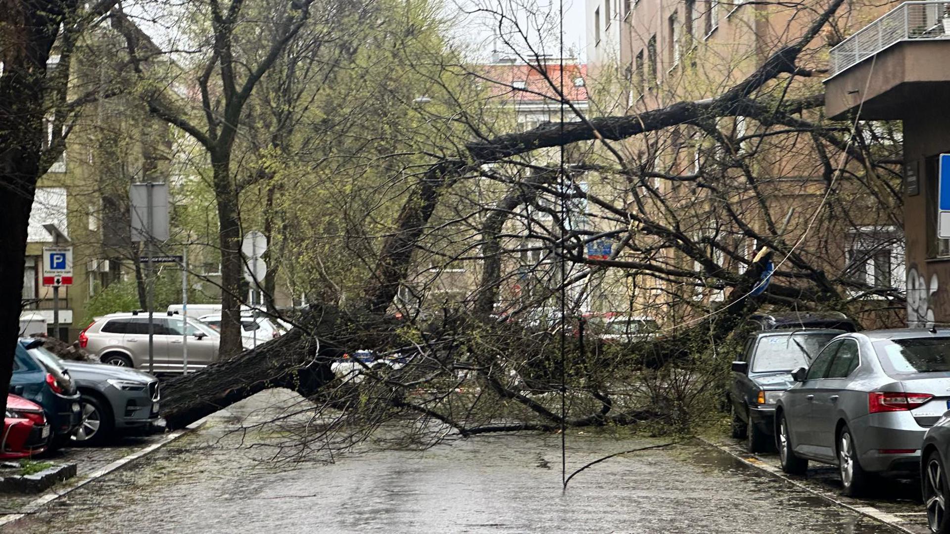 Zagrebački gradonačelnik Tomislav Tomašević održava konferenciju za novinare o informacijama vezanima uz posljedice nevremena
