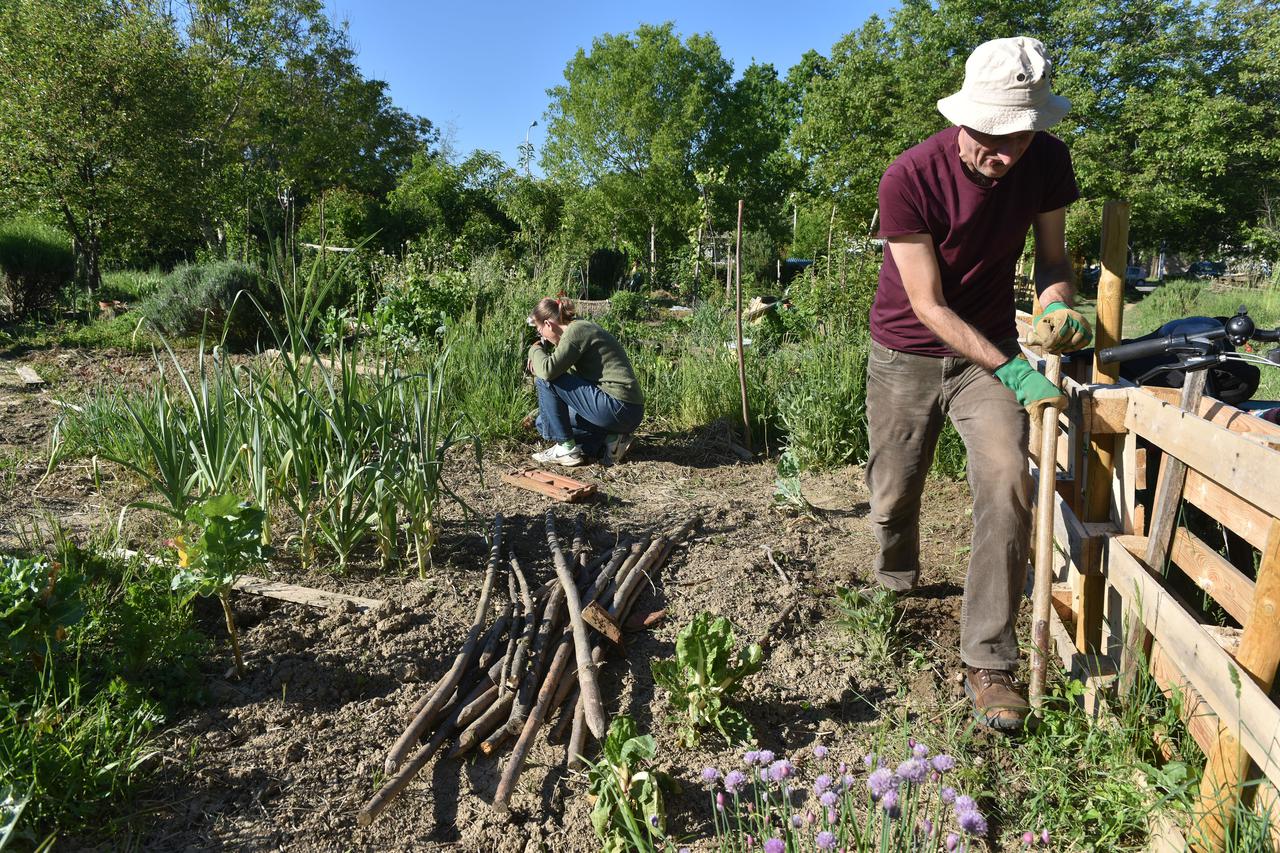 Zagreb: Urbani vrtovi u Prečkom
