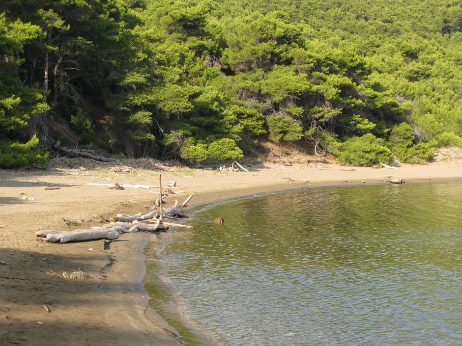Plaža Blace na Mljetu – mjesto gdje je Odisej izgradio splav za povratak kući