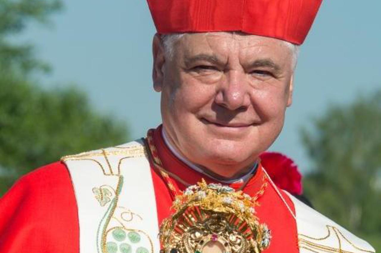 Gerhard Ludwig Müller