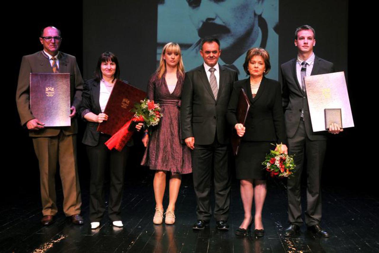 požeško-slavonska županija