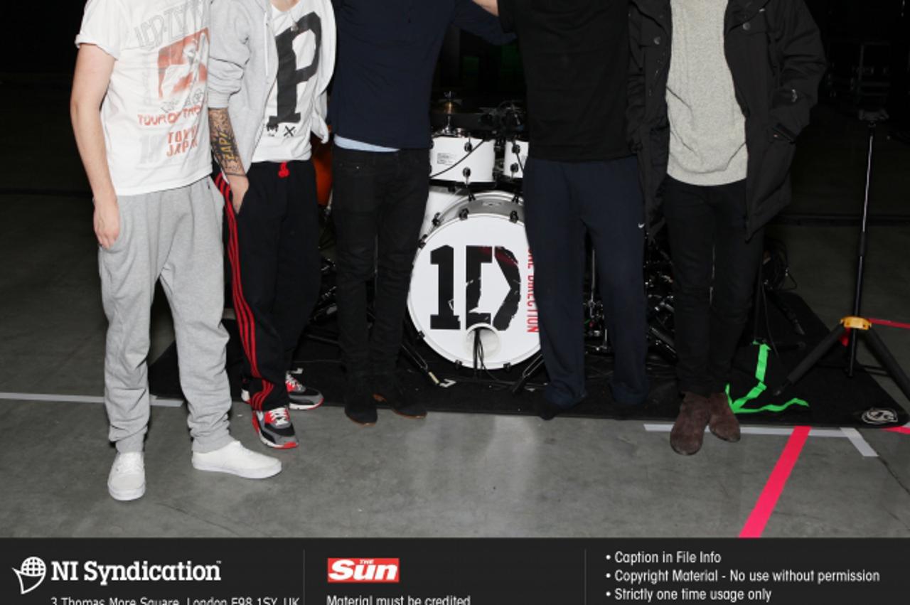 one direction portal