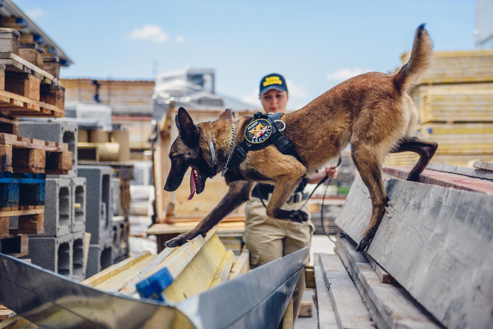 K9 timovi u zaštitarskim tvrtkama u Hrvatskoj mogu pružati samo tjelesnu zaštitu i zaštitu objekata