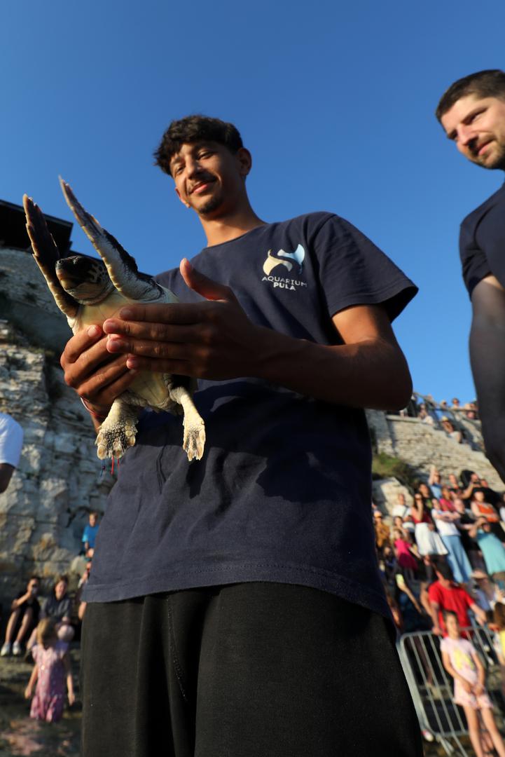 Građanima je uputila apel da budu pažljiviji prema prirodi i morskim ekosustavima te da u slučaju pronalaska ozlijeđene ili iscrpljene morske kornjače nazovu 112, koji će ih uputiti na najbliže oporavilište.