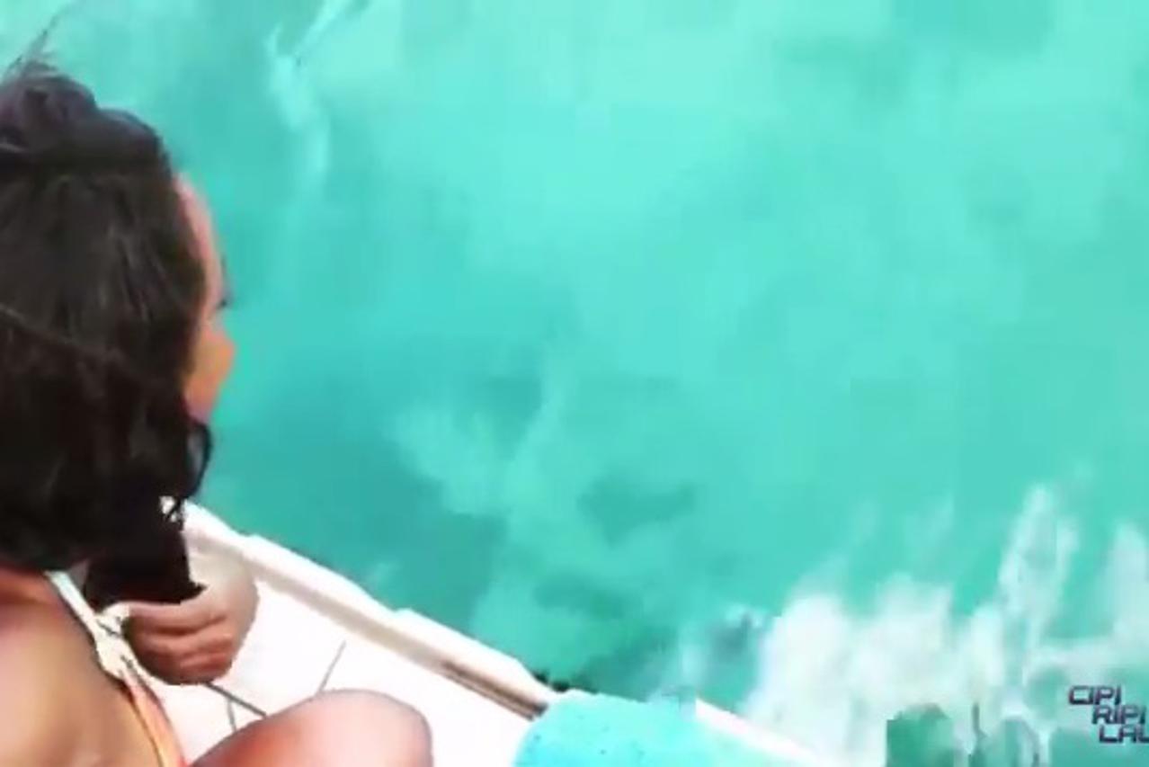 Dupin joj vratio potonuli mobitel