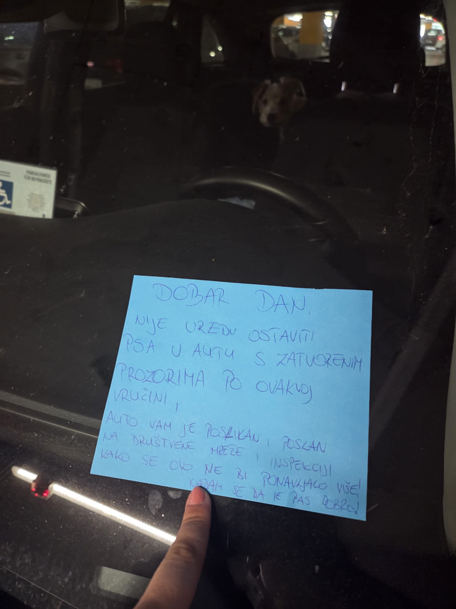 Pas u automobilu