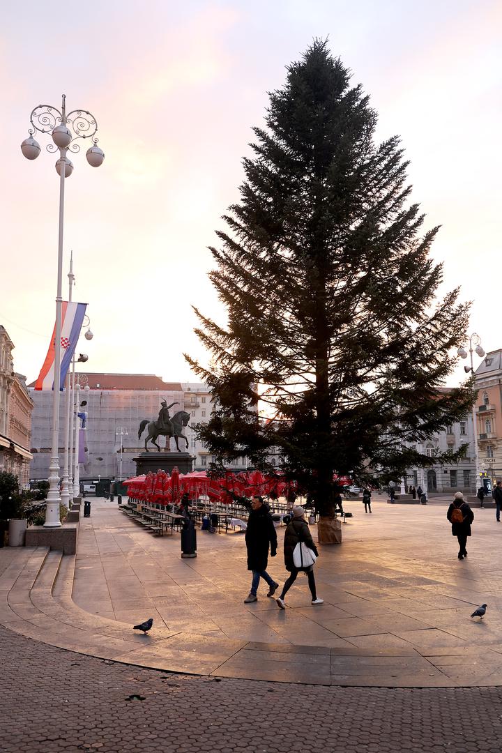 – Došla je dizalica od 120 tona da je digne preko ograde. Ponosan sam jako – kazao je vlasnik Zlatko Juratovac za 24sata. Juratovac procjenjuje da je jelka stara do 40 godina. 