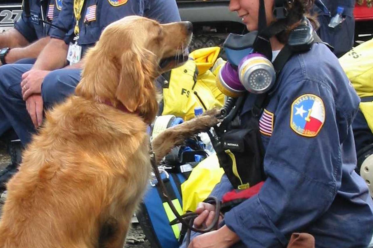 Bretagne i Denise Corliss