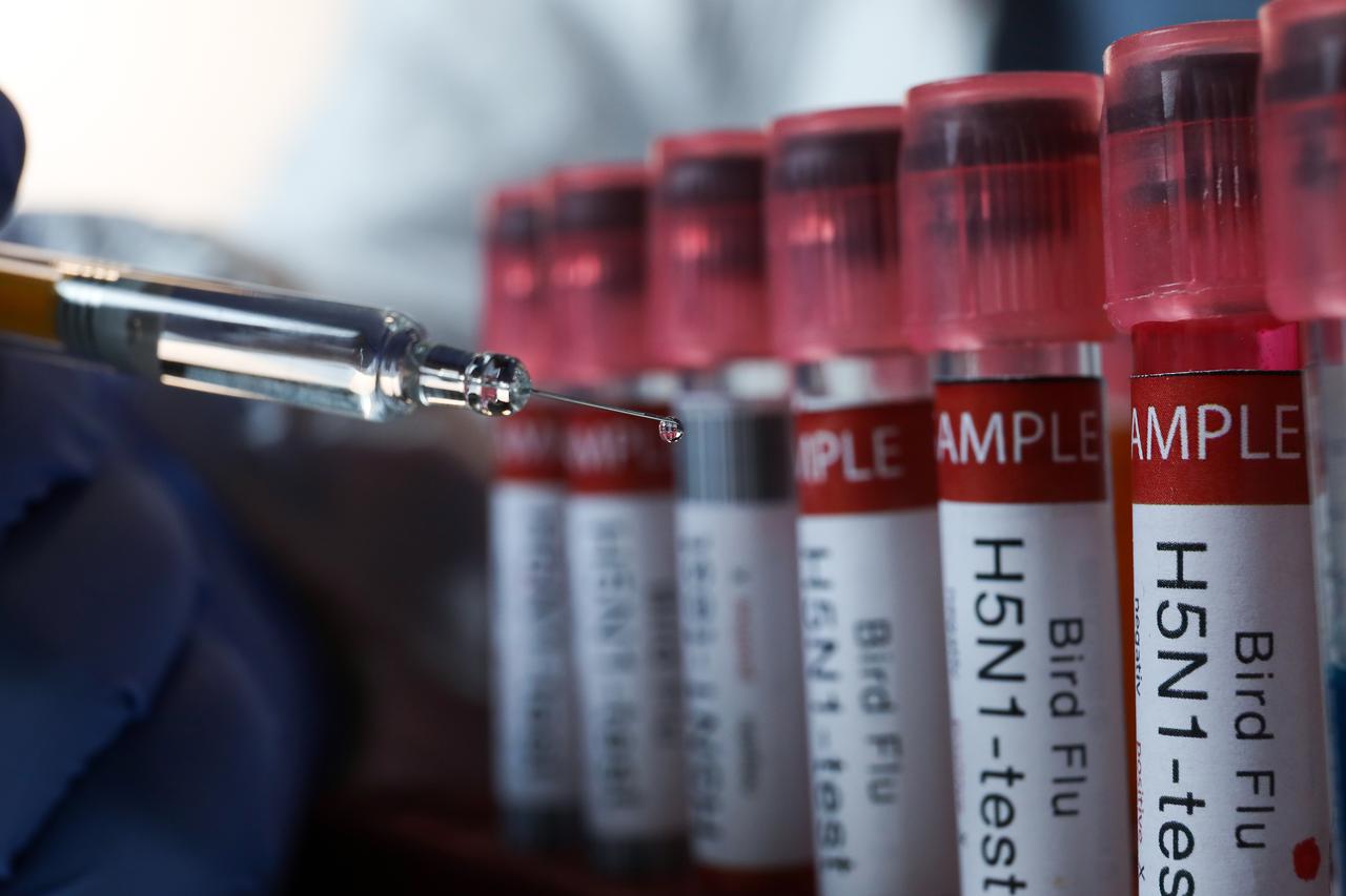 Ilustracija, laboratorij za testiranje na H5N1 