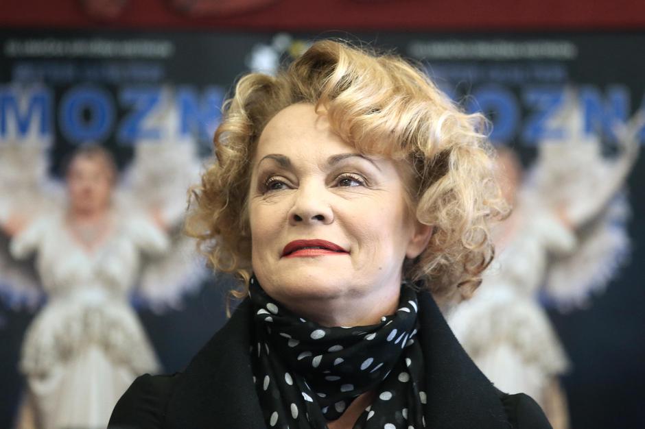 Zagreb: Konferencija za medije povodom premijere predstave Famozna u Histrionskom domu