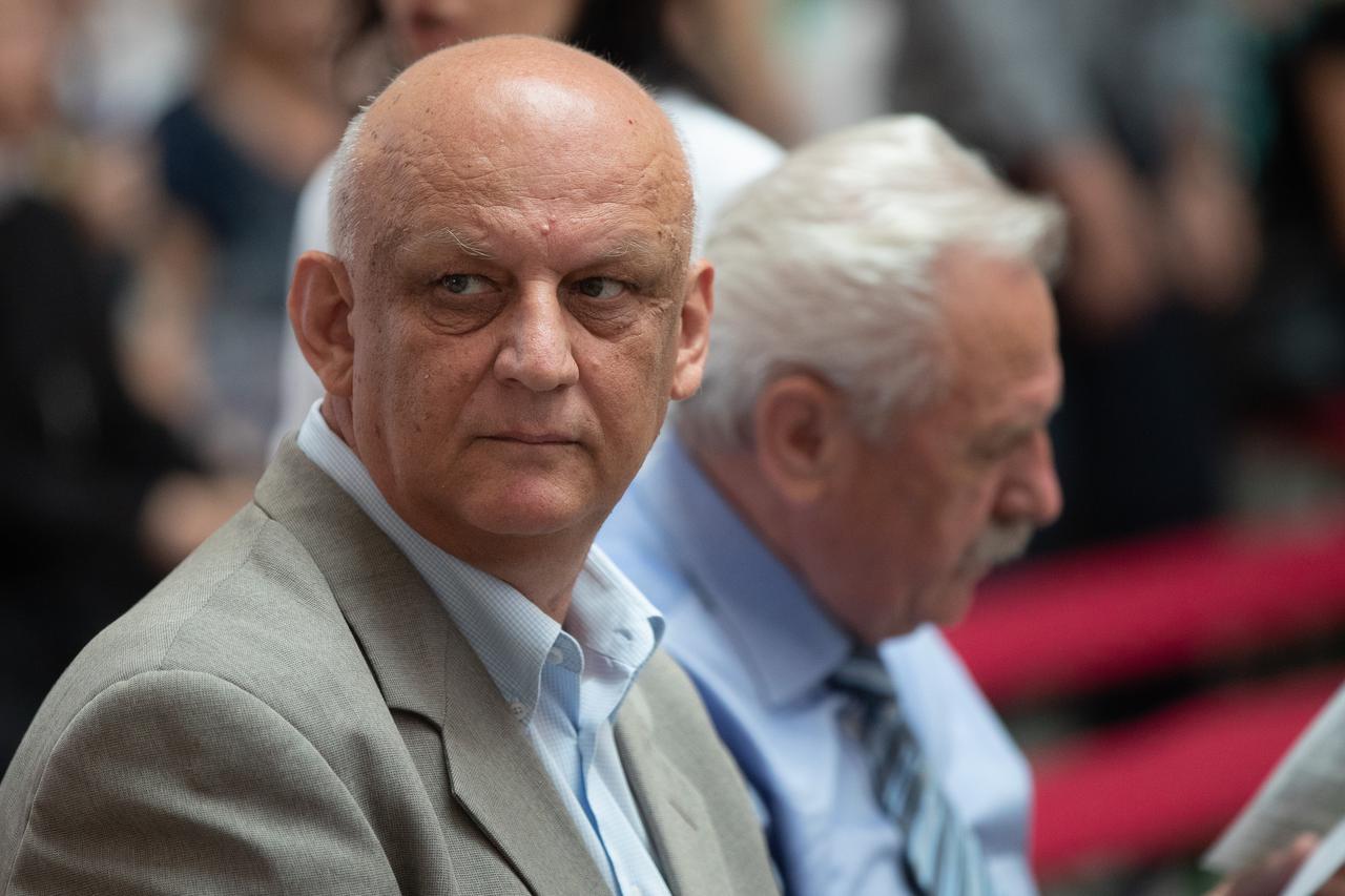 Ljubo Ćesić Rojs