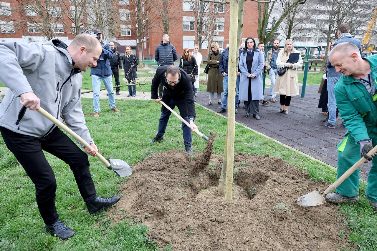 Zagreb: Gradonačelnik Tomislav Tomašević na obilježavanju završetka sadnje 8000 stabala