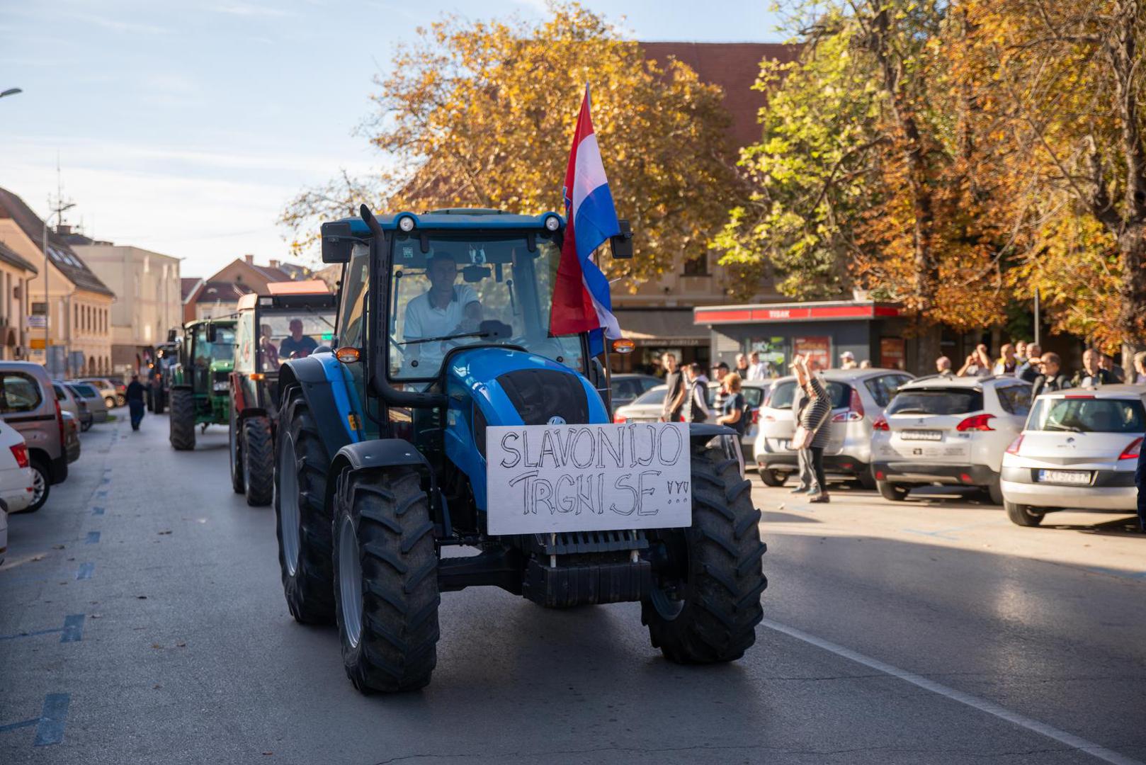 29.10.2023., Vinkovci - Prosvjed svinjogojaca u VInkovcima zbog africke svinjske kuge Photo: Borna jaksic/PIXSELL
