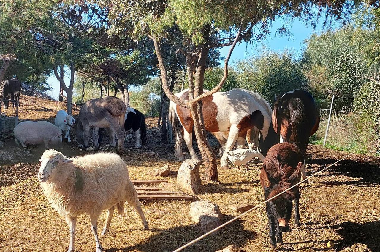 Utočište u Nerežišću