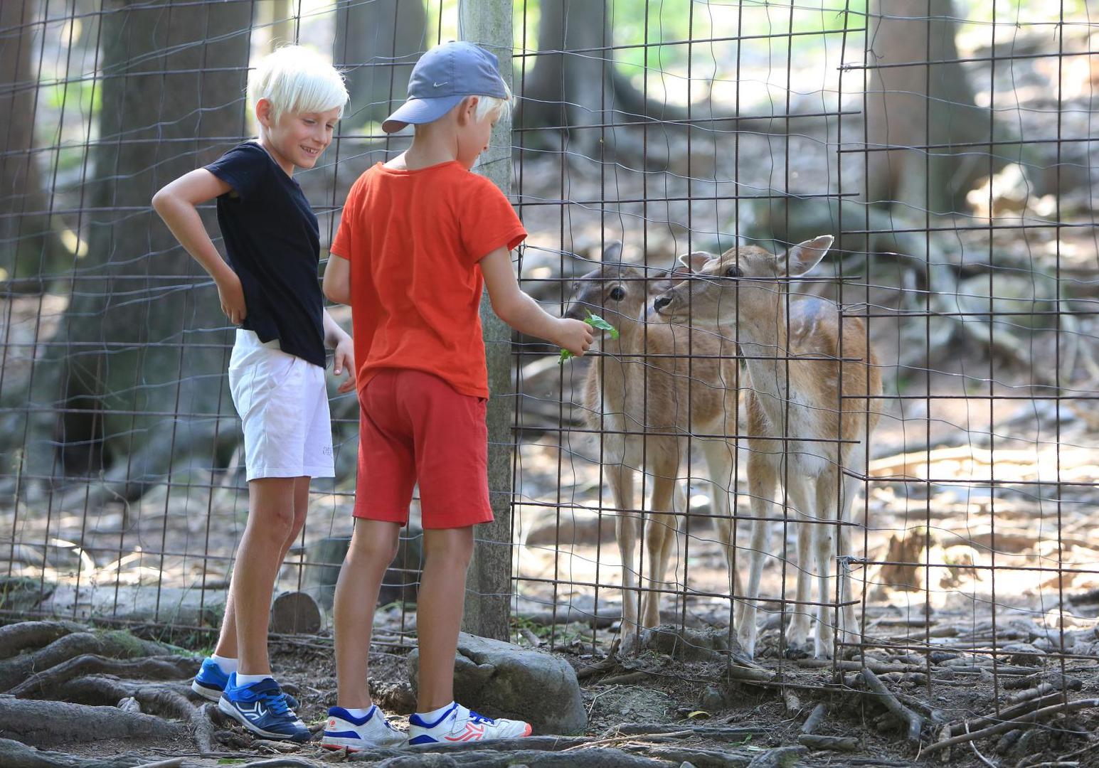 13.08.2020., Delnice - Reportaza iz grada Delnice za koji je ovih dana objavljeno kako im dolazi americki lanac hotela i  shoping centri. Photo: Kristina Stedul Fabac/PIXSELL