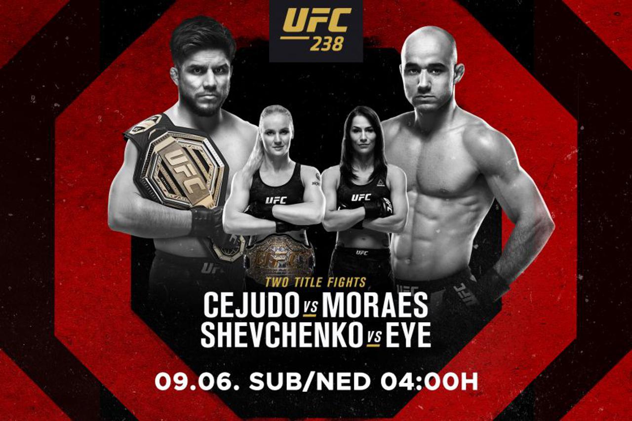 UFC 238