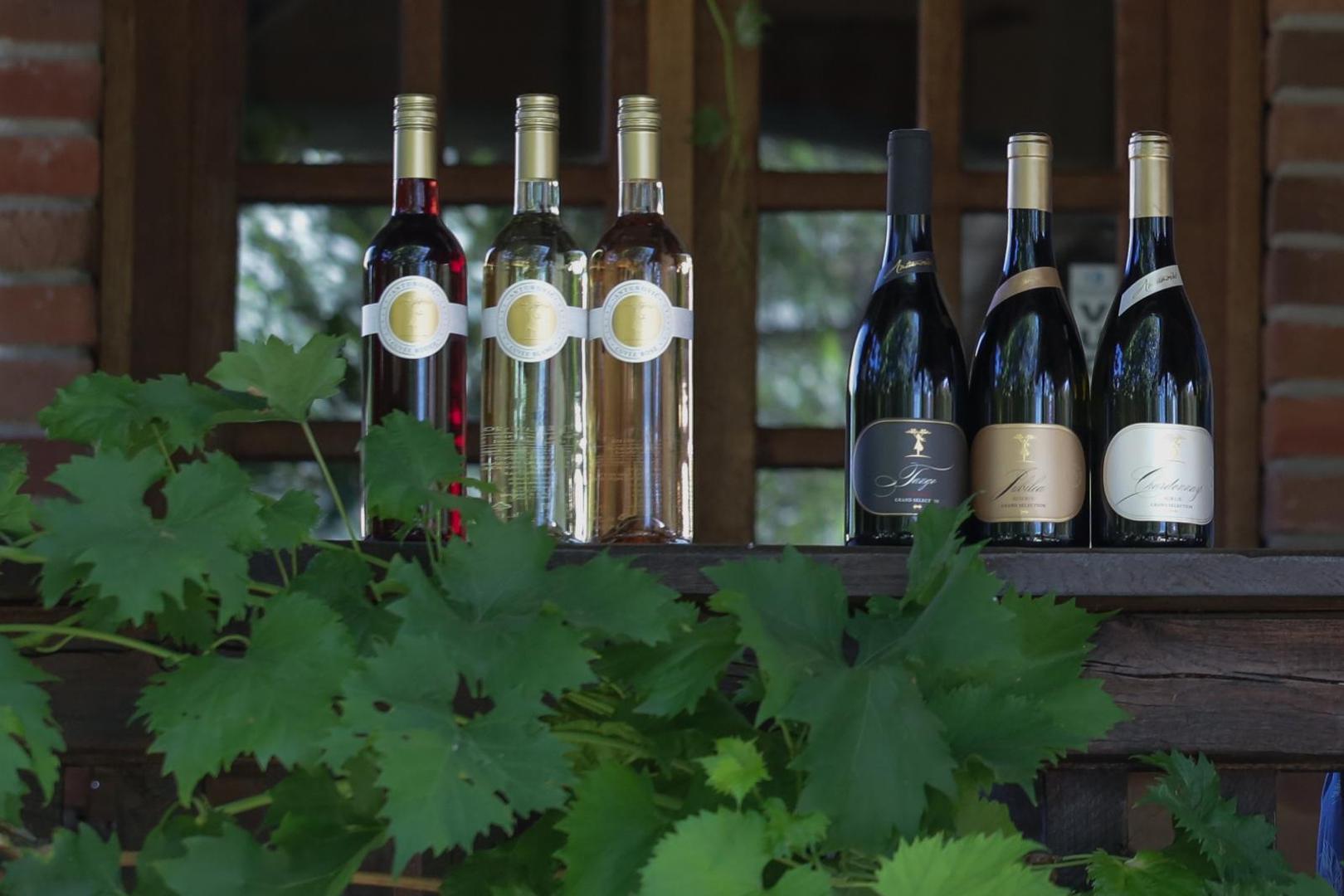 02.08.2020. Dalj - Vina Antunovic, vlasnice Jasne Antunovic, nominiran je za najbolji OPG, nagrada Zlata vrijedan. Photo: Dubravka Petric/PIXSELL