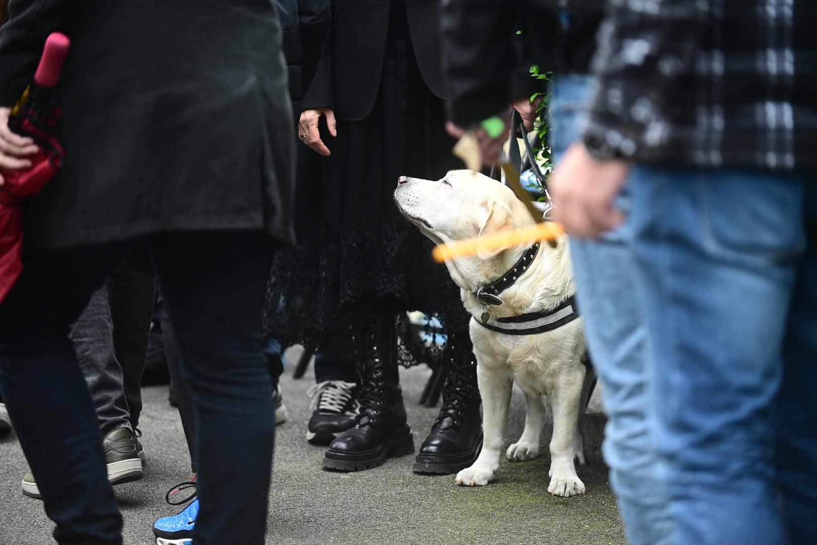 Sprovodu su svjedočili brojni sportski velikani poput Predraga Danilovića, Ive Nakića, Žarka Paspalja, Vladimira Kuzmanovića, Uroša Tripkovića, Vlade Šćepanovića i brojnih drugih. 