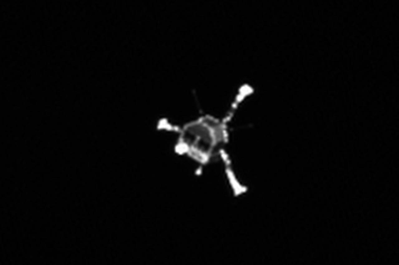 rosetta
