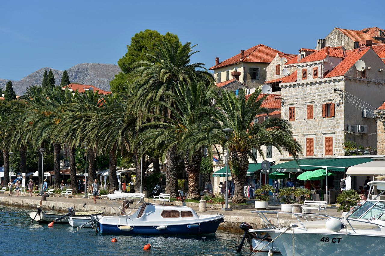 CAvtat