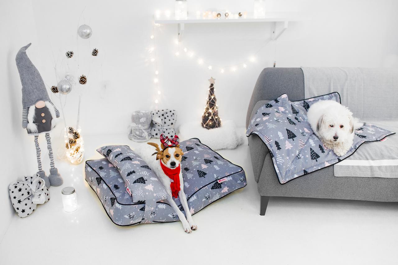 Iz Qushina s ljubavlju