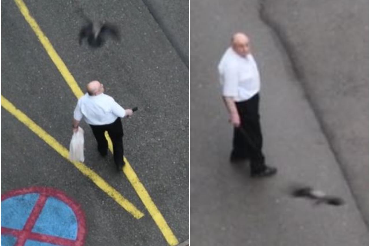 Vrane napale muškarca