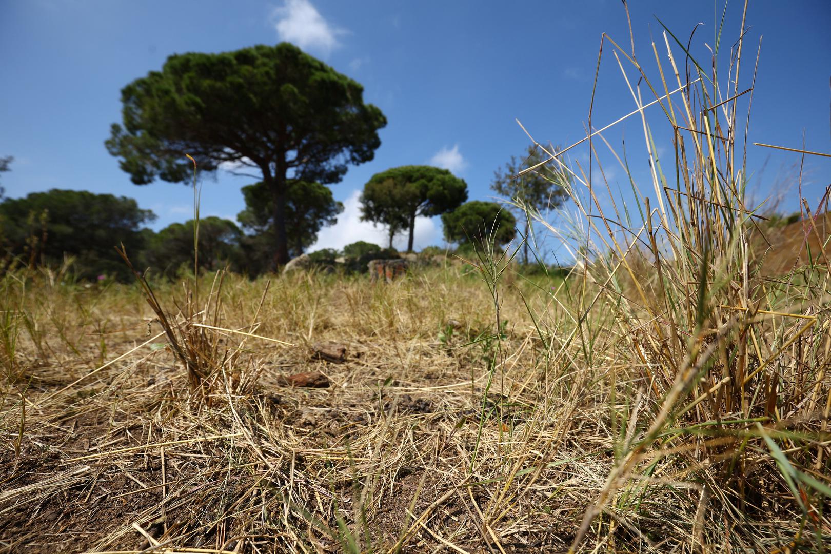 Ova "vatrogasna stada" stvaraju ključne tampon-zone koje mogu zaustaviti ili usporiti širenje vatre, dajući vatrogascima dragocjeno vrijeme, prenosi Reuters. Lokalni inspektori potvrđuju da su požari na tim brdima bili godišnja pojava dok nisu angažirali koze. 