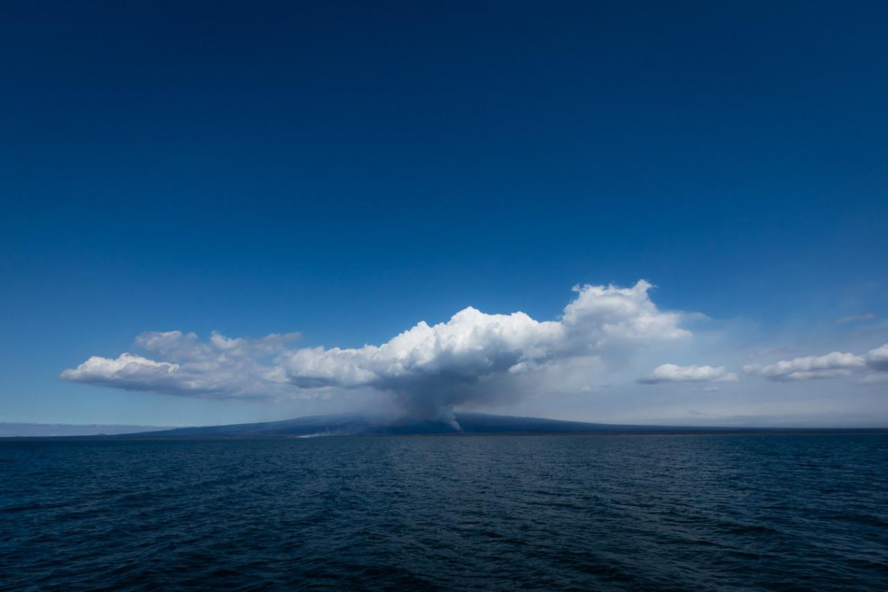 Galapagos