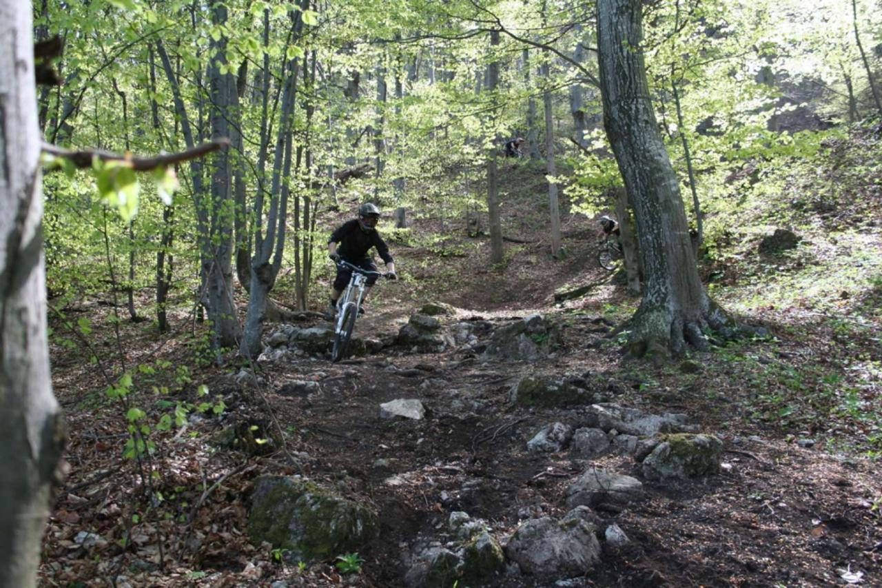 downhill (1)