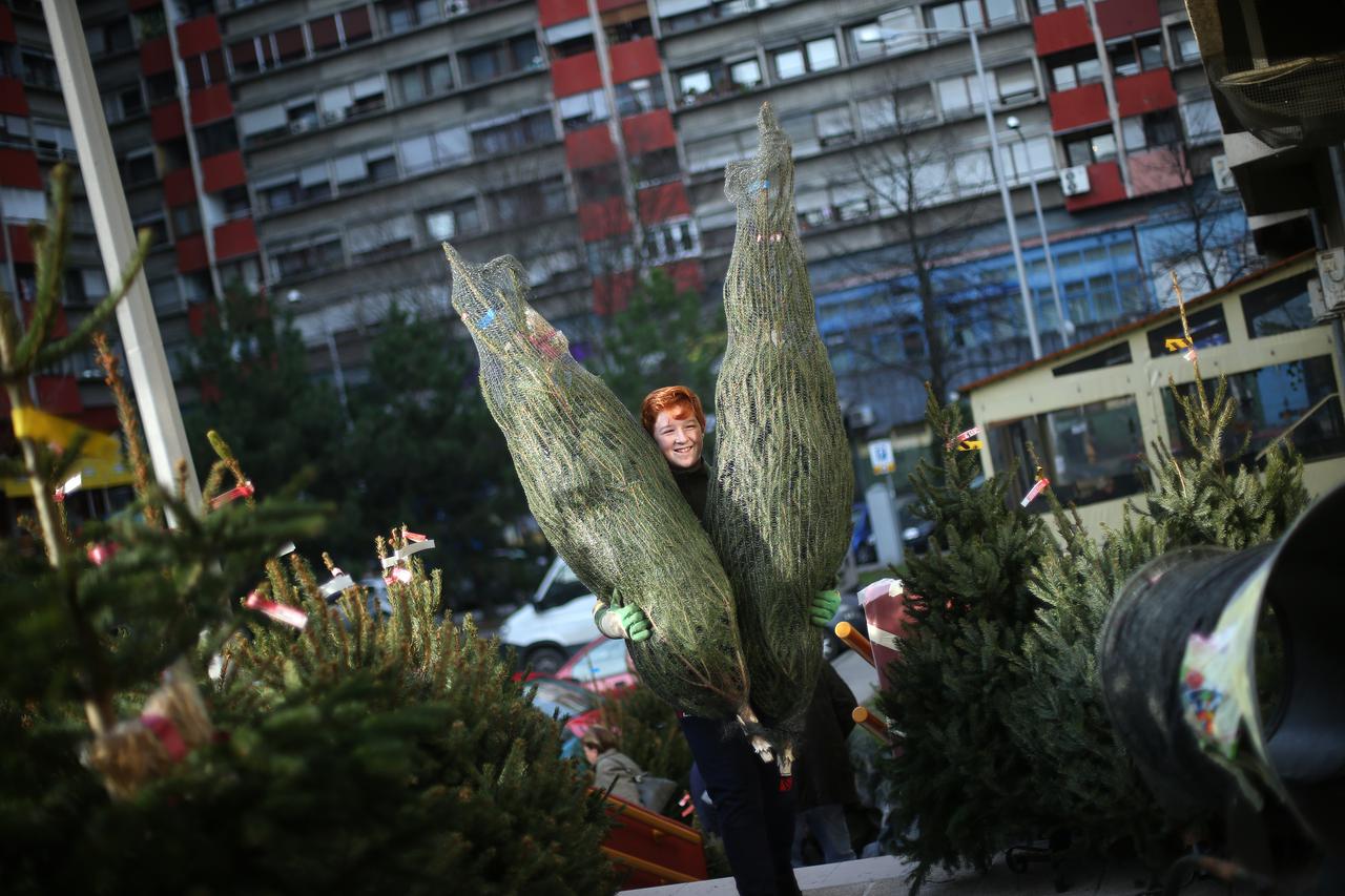 22.12.2014., Zagreb - Na juznoj strani trznice na Savici dobavljac i prodavac bozicnih drvaca Zvjezdana Vrckovic Keckes odlucila je pokloniti stotinjak borova osobama slabijeg imovinskog stanja. 