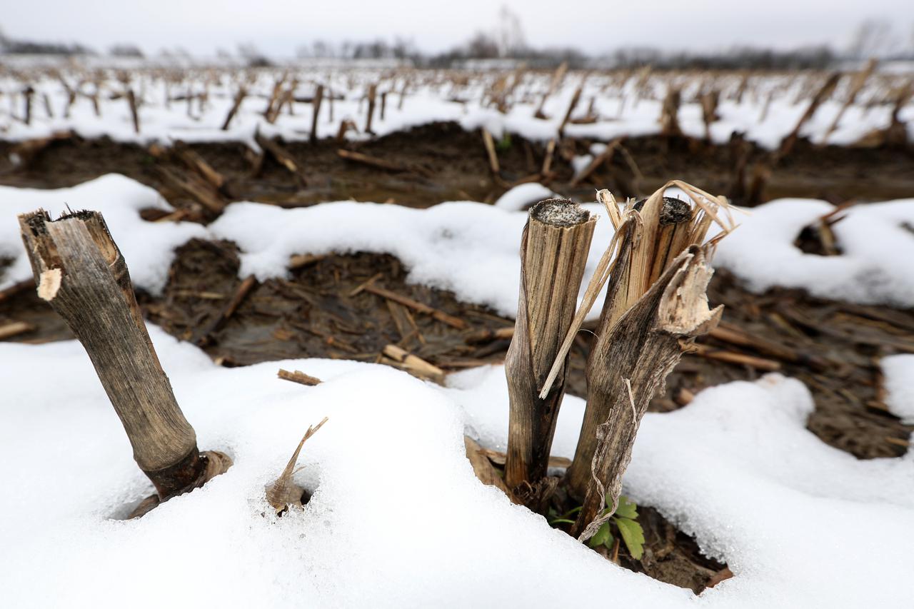 Očekuje se novi zakon