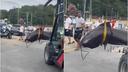VIDEO Dijete u plićaku primijetilo gigantsku siluetu, kupači u strahu bježali iz mora