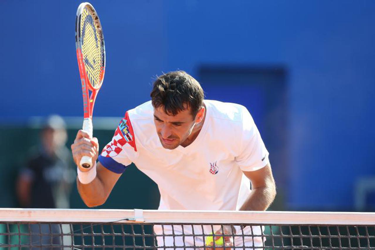 Dodig