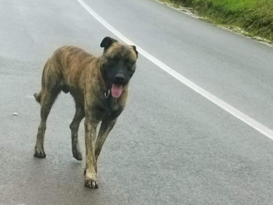 Tayson