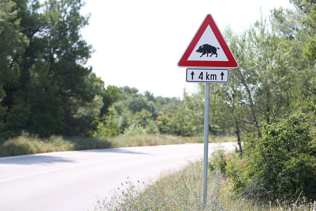 Prometni znak divljač na cesti