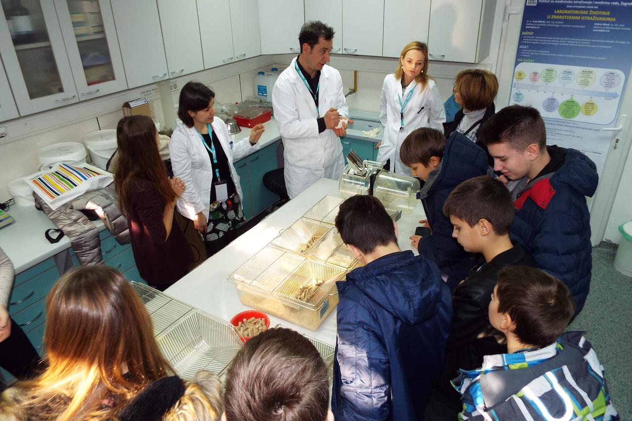 Institut za medicinska istraživanja i medicinu rada