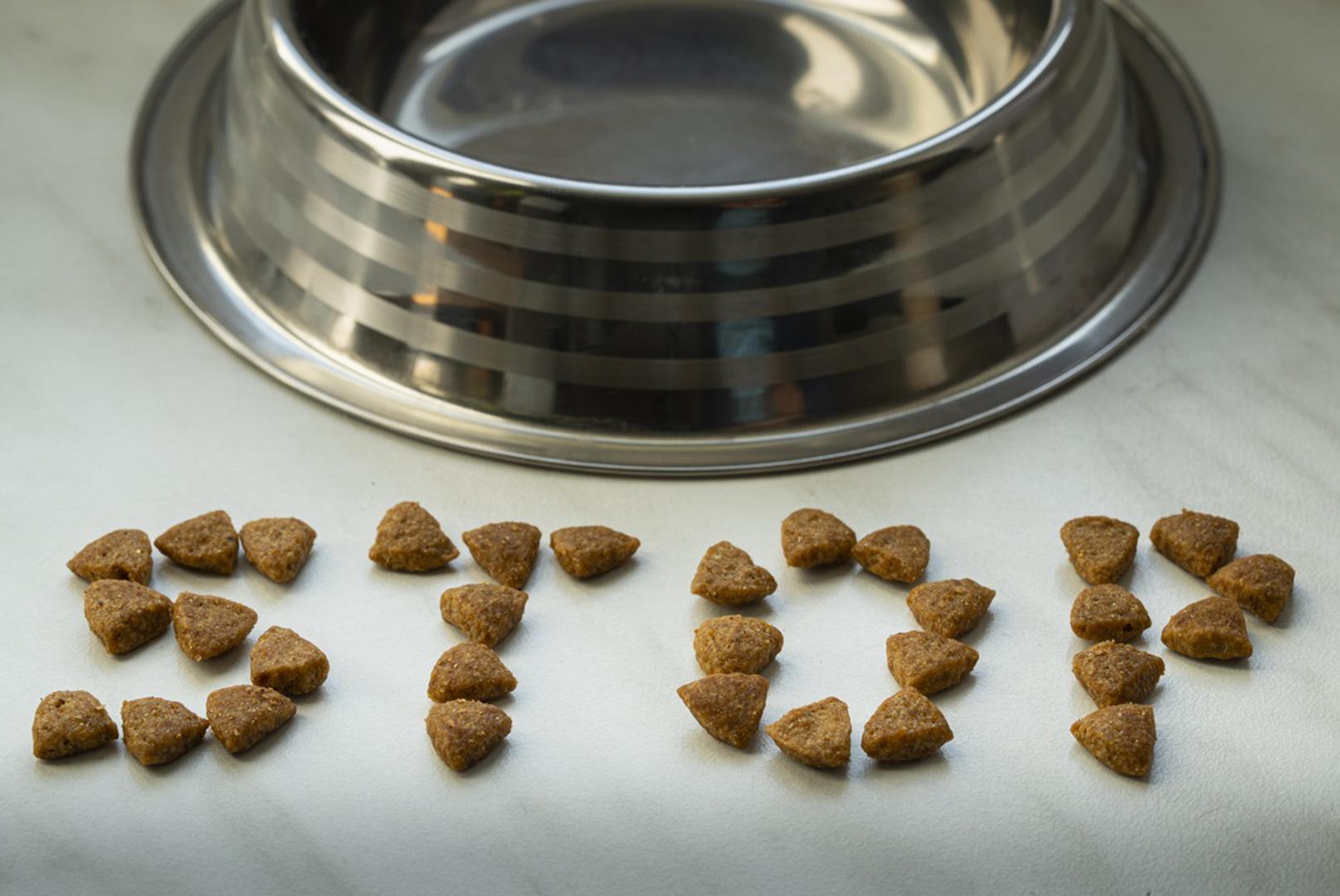 Posebno zabrinjava činjenica da neke od njih djeluju već i u malim količinama pa nema mjesta eksperimentiranju. Zato veterinari stalno upozoravaju da se pse ne hrani ostacima sa stola bez razmišljanja o sastojcima. U nastavku donosimo devet vrsta hrane koje psi nikako ne bi smjeli jesti. 