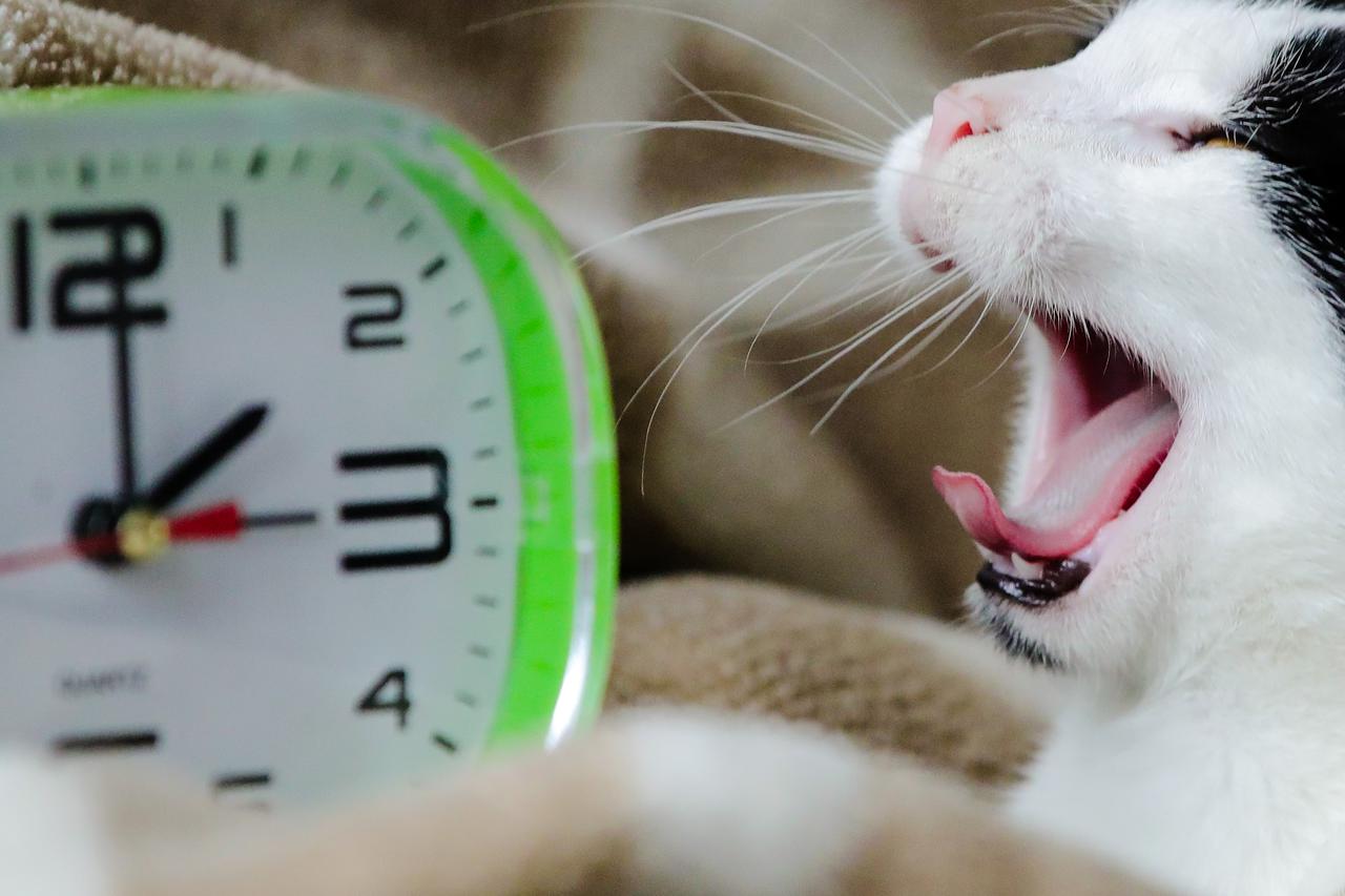 Odgađa se ukidanje zimskog i ljetnog računanja vremena