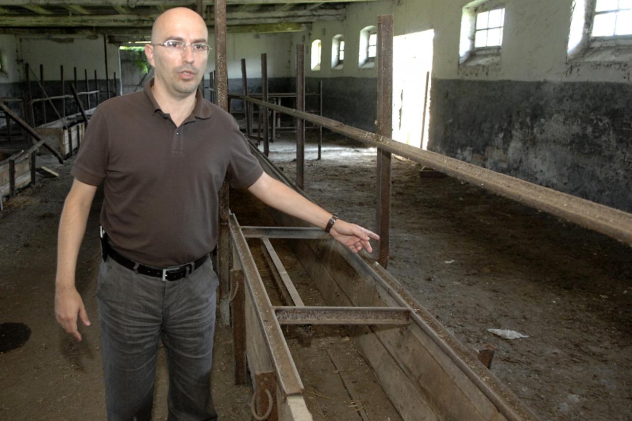 zoran šangut, stajićevo