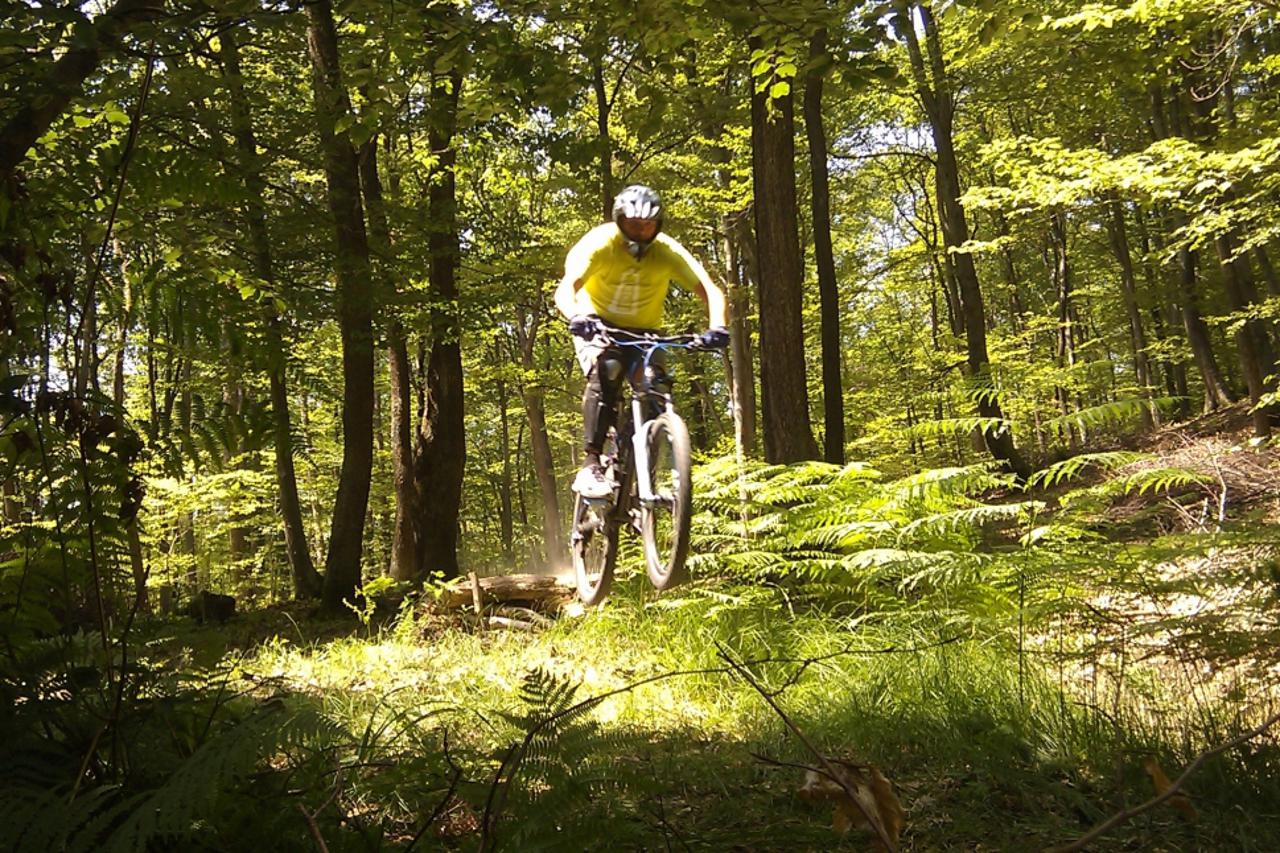 zlatko matijević (1)