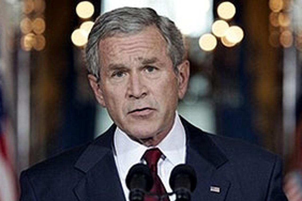 bush-svi-txt.jpg
