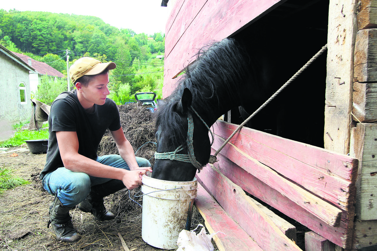 Volonteri brinu za konje i ponije u zagrebačkoj Dubravi dok je vlasnik u zatvoru