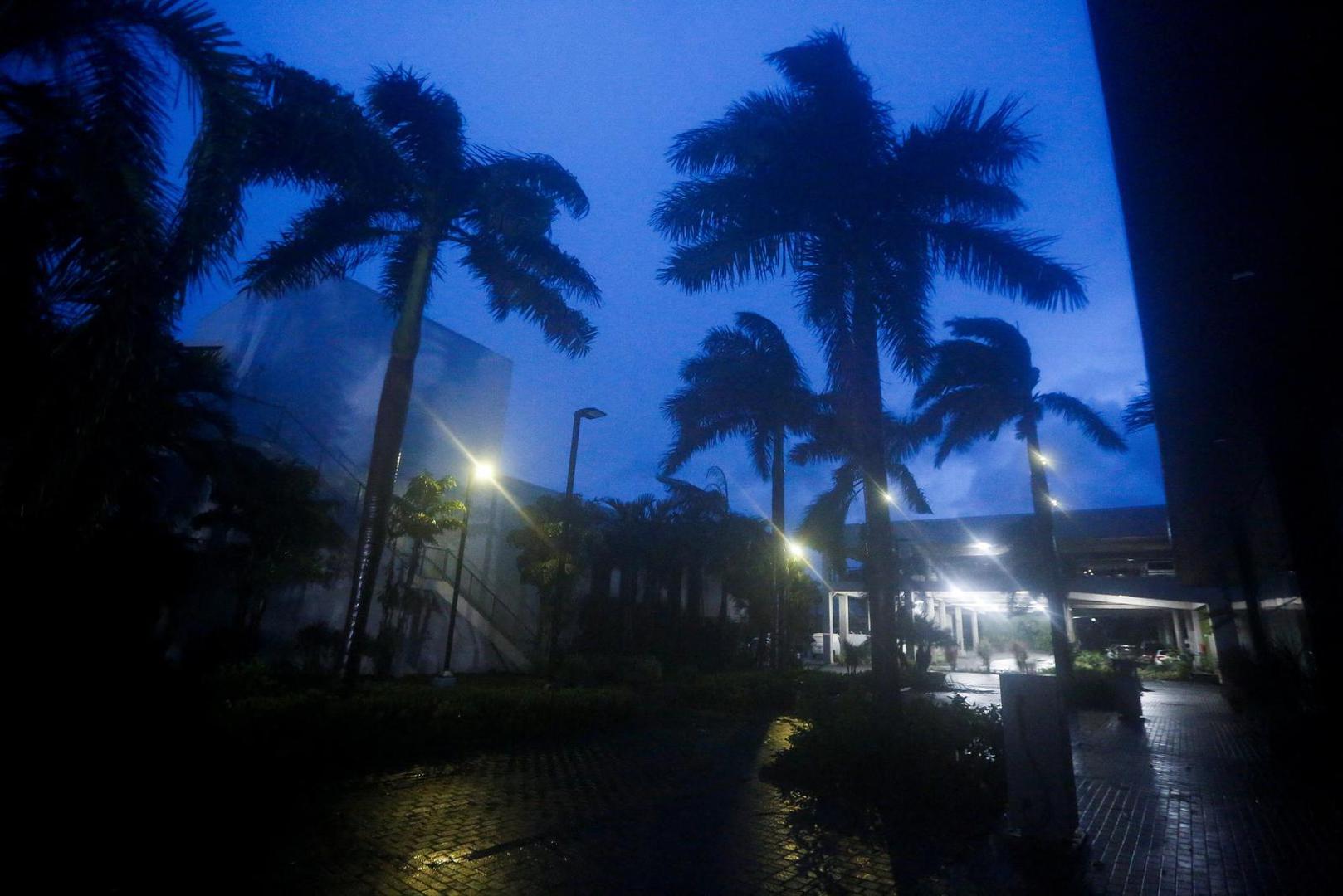 Palm trees sway as Hurricane Melissa is expected to make landfall in Kingston, Jamaica, October 28, 2025. REUTERS/Octavio Jones Photo: OCTAVIO JONES/REUTERS
