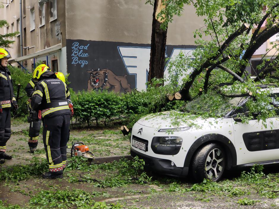 Zagreb: Srušilo se stablo na automobil u Marti?evoj ulici