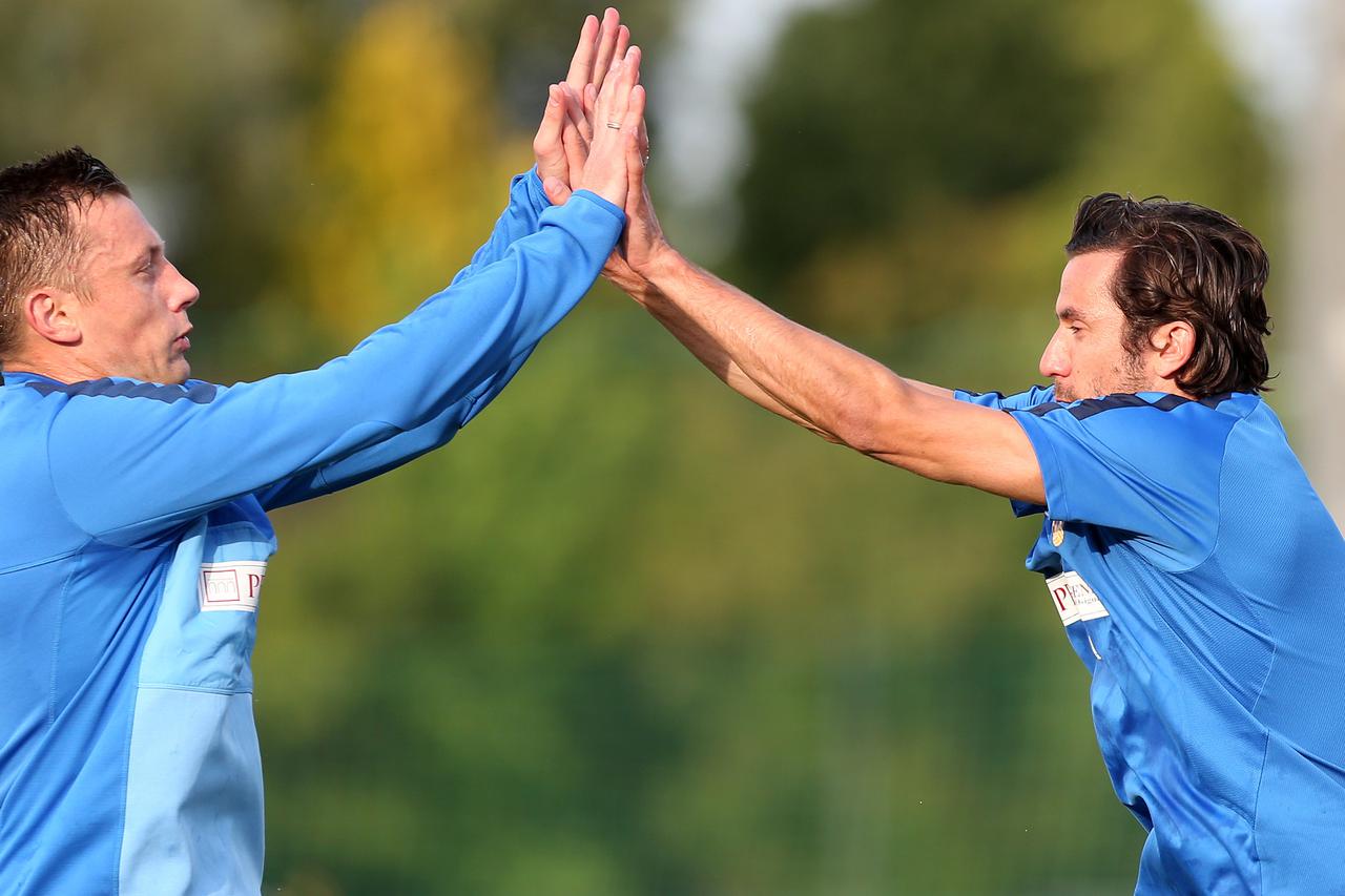 Darijo Srna i Ivica Olić