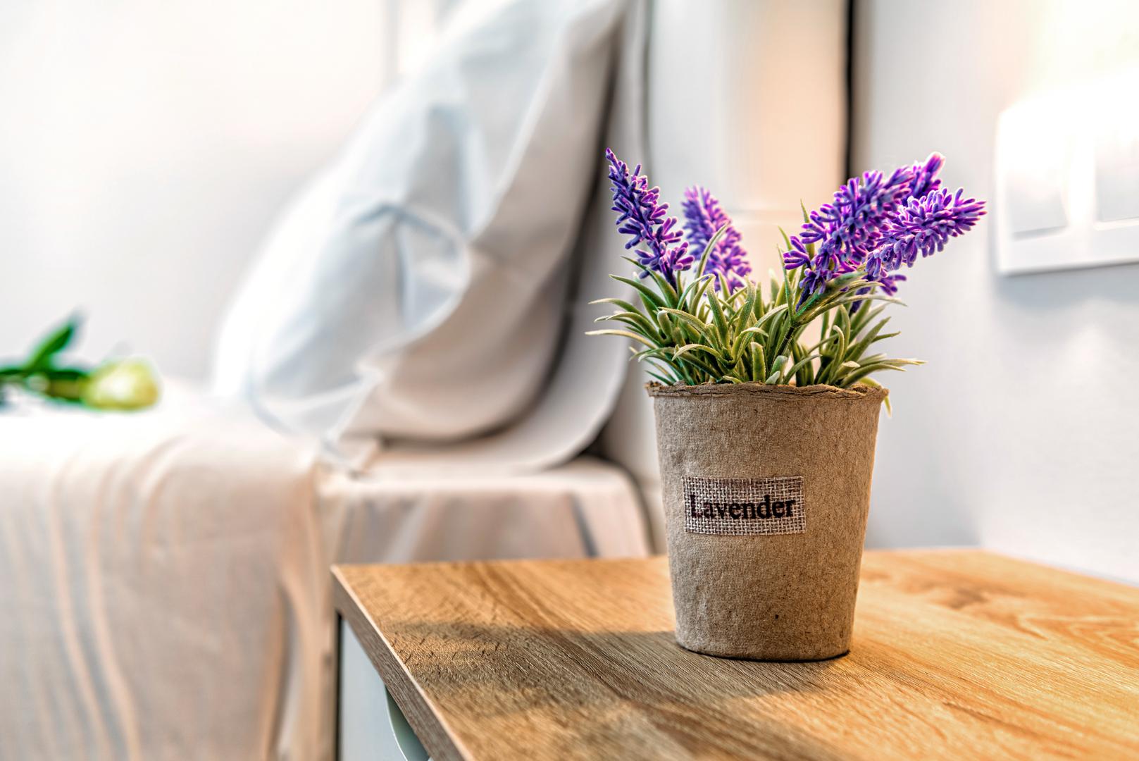2. Lavanda: Prema Keiri Kay, stručnjakinji za biljke u Bloom & Wild, lavanda se općenito smatra najboljom sobnom biljkom za anksioznost. "Pokazalo se da smanjuje osjećaje napetosti i stresa te potiče opuštanje", objasnila je. Nedavna studija pokazala je da lavanda može imati učinke na raspoloženje i živčani sustav kod odraslih, minimizirajući stres i anksioznost.