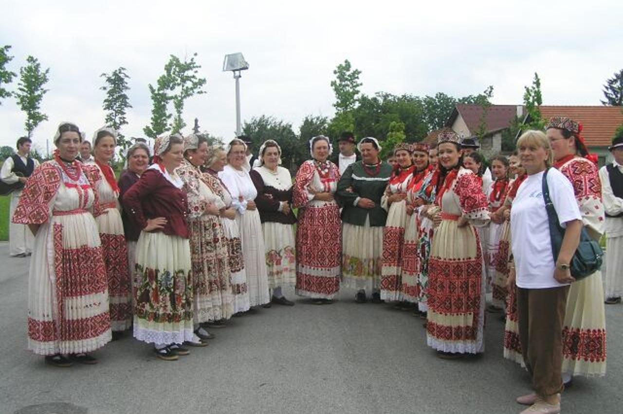 'repusnica2_ruk_sis_220610'