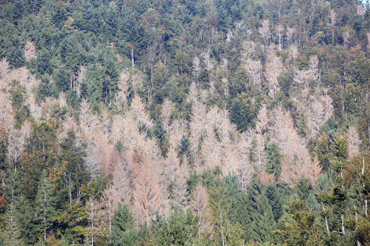 Gorski Kotar