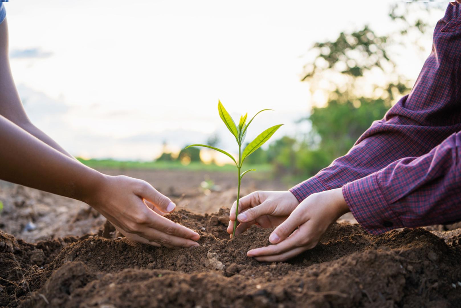 Neka su praznovjerja nastala iz starih narodnih običaja, a neka su se prenosila usmenom predajom. Iako ih danas većina promatra s dozom zabave, zanimljivo je koliko su takva vjerovanja i dalje prisutna u svakodnevici, osobito u manjim sredinama. Evo nekih od najpopularnijih.