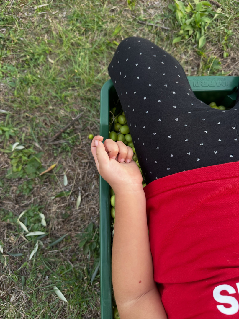 Fotografije koje je podijelila prikazuju širok spektar njezinih interesa i svakodnevnih radosti. Pratitelji tako mogu vidjeti njezina besprijekorna modna izdanja kroz selfije u ogledalu, na kojima pozira u upečatljivom crvenom sakou te elegantnom potpuno bijelom odijelu. Uz modu, poseban naglasak stavljen je na njezinu veliku strast prema kazališnoj umjetnosti i mjuziklima u kojima je i sama nekada sudjelovala. Boravak u Londonu iskoristila je za posjet poznatoj kazališnoj sceni, pa se na jednoj od fotografija vidi kako drži program za predstavu Into the Woods ispred kazališta Noël Coward. Druga fotografija otkriva da je uživala i u popularnom mjuziklu Hamilton.